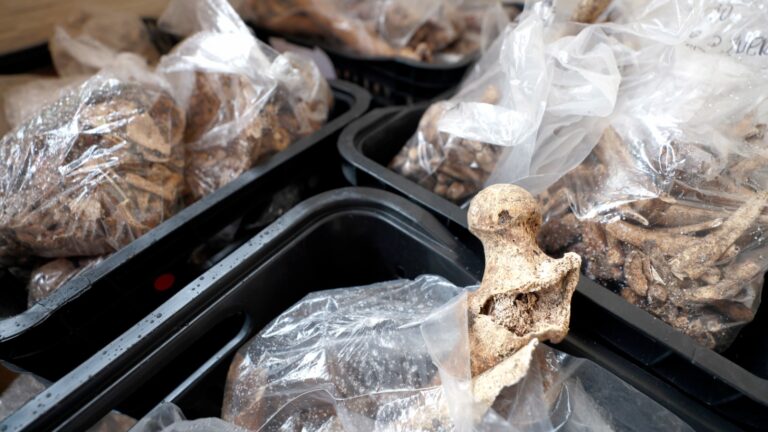 Descoberta arqueológica no Recôncavo Baiano revela história milenar
