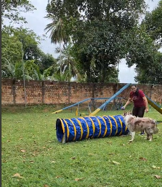 Agility