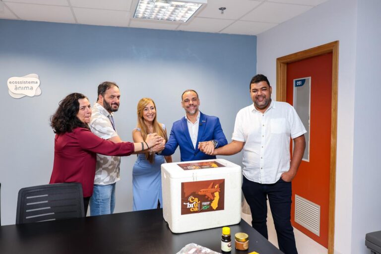 chocolate do sul da bahia