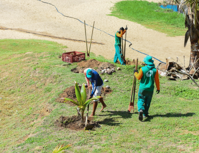 projeto praia verde