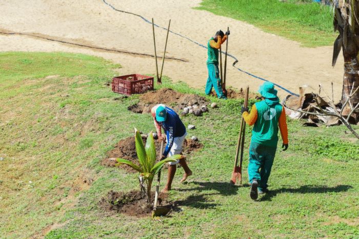 projeto praia verde