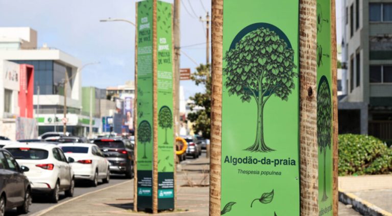 Foto: Bruno Concha / Secom PMS