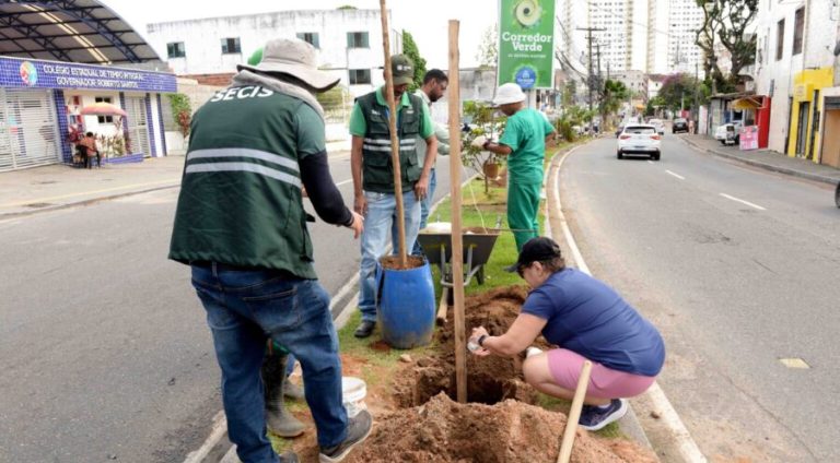 Fotos: Otávio Santos / Secom PMS