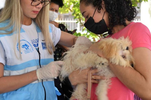 128451,campanha-de-vacinacao-antirrabica-em-salvador-e-prorrogada-ate-dia-30-3