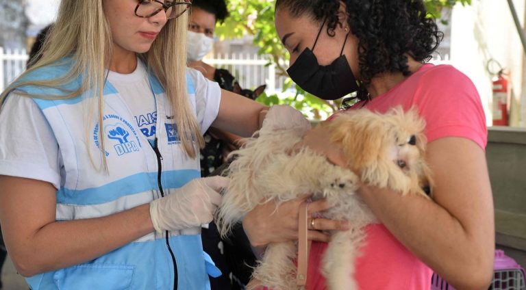 128451,campanha-de-vacinacao-antirrabica-em-salvador-e-prorrogada-ate-dia-30-3