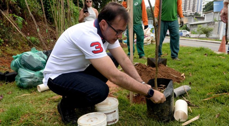Arborização Salvador