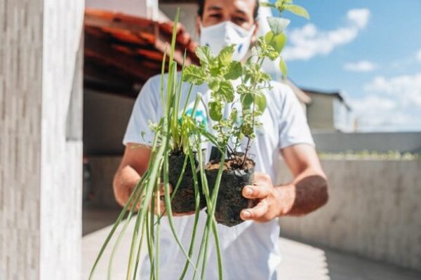 17_06_2021_Horta_Em_Casa_Foto_Igor_Santos_SECOM_Digital-1-601x394
