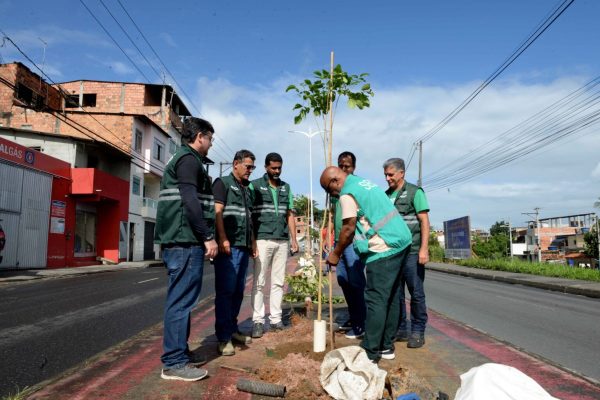 19-06-2026-Plantio-da-SECIS-na-suburbana-Fotos-Otavio-Santos-SECOM-PMS-3-1536x1025