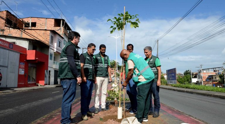 19-06-2026-Plantio-da-SECIS-na-suburbana-Fotos-Otavio-Santos-SECOM-PMS-3-1536x1025