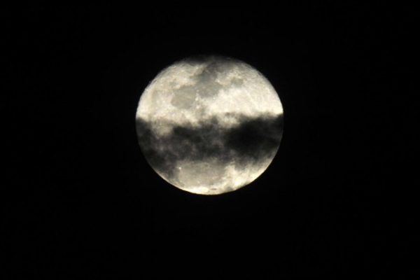 1__dsc1934-39058073