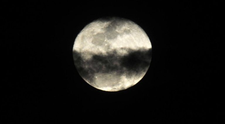 1__dsc1934-39058073