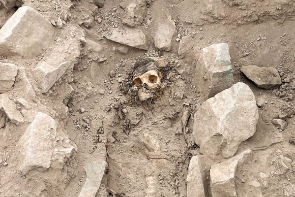 2023-06-14t214140z_120584993_rc21j1a5rthr_rtrmadp_3_peru-archaeology-mummy