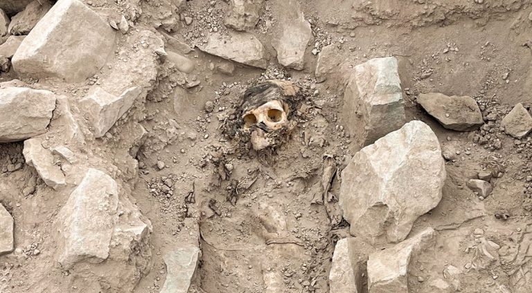 2023-06-14t214140z_120584993_rc21j1a5rthr_rtrmadp_3_peru-archaeology-mummy