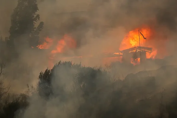 2024-02-04t000324z_320420104_rc24v5afg8a4_rtrmadp_3_chile-wildfires