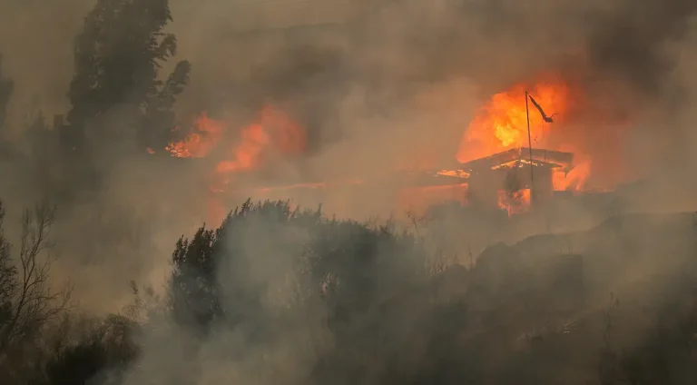 2024-02-04t000324z_320420104_rc24v5afg8a4_rtrmadp_3_chile-wildfires
