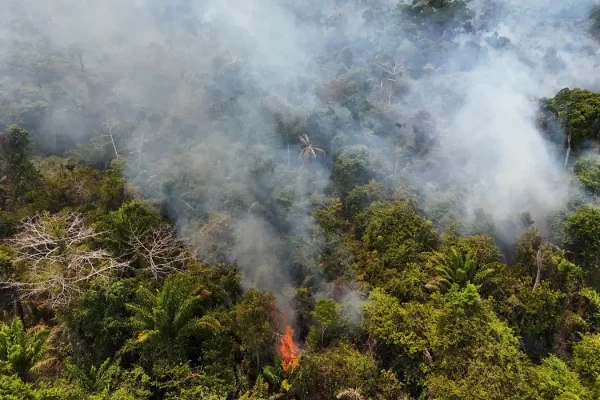 2024-03-01t131838z_944586073_rc20d6aq22m1_rtrmadp_3_brazil-fires