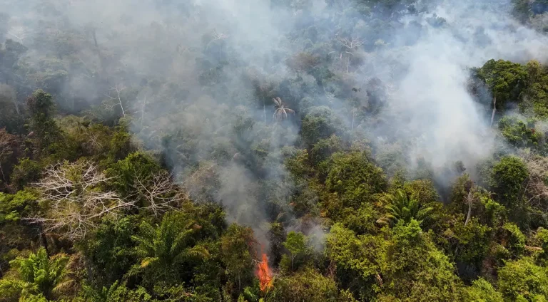 2024-03-01t131838z_944586073_rc20d6aq22m1_rtrmadp_3_brazil-fires