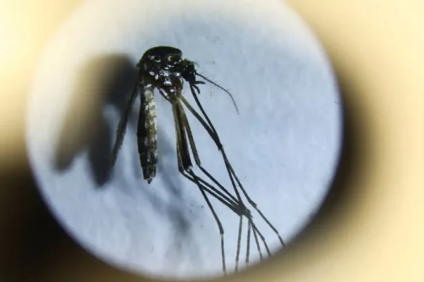 2024-04-18T184748Z_1_LYNXNPEK3H0TL_RTROPTP_4_ARGENTINA-DENGUE