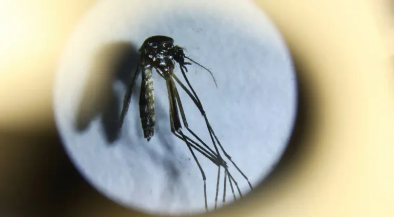 2024-04-18T184748Z_1_LYNXNPEK3H0TL_RTROPTP_4_ARGENTINA-DENGUE