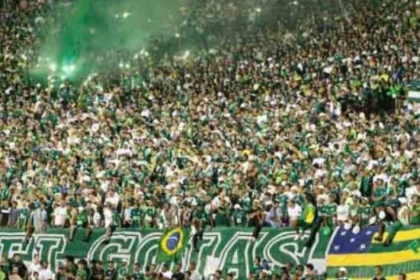 322855-IMAGEM_NOTICIA_0