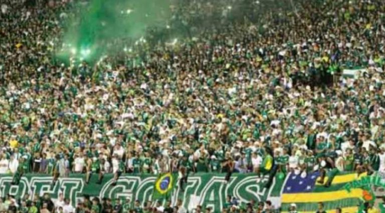 322855-IMAGEM_NOTICIA_0