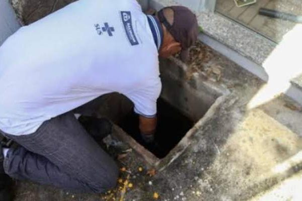 329471-IMAGEM_NOTICIA_0