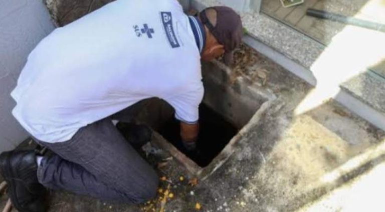 329471-IMAGEM_NOTICIA_0