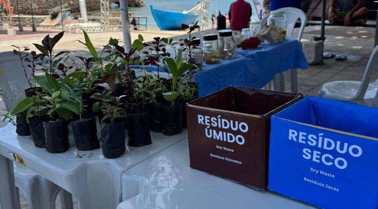 Foto: Ascom Limpurb / Divulgação