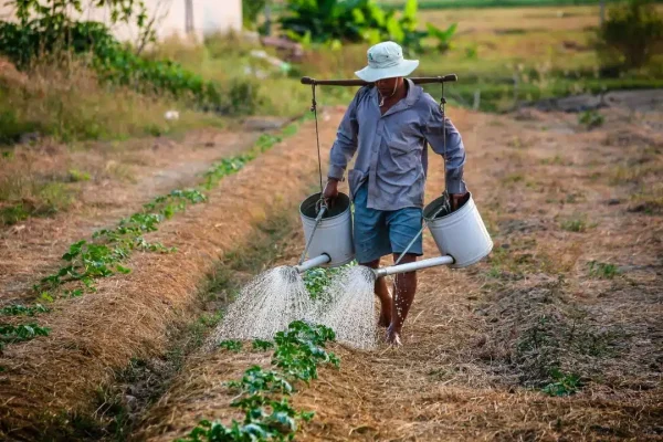Agricultura.jpg