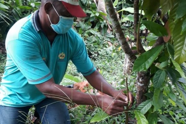 Associacao-dos-Remanescentes-de-Quilombolas-Produtores-Rurais-do-Barro-Vermelho-696x727