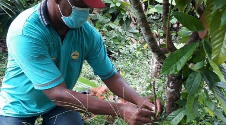 Associacao-dos-Remanescentes-de-Quilombolas-Produtores-Rurais-do-Barro-Vermelho-696x727
