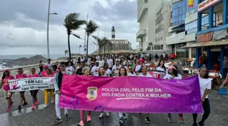 Foto: Divulgação Polícia Civil