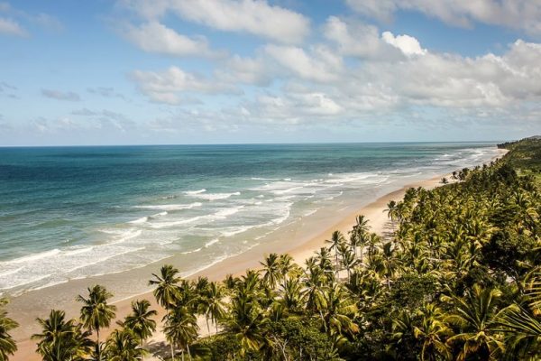 Capa-Mag_Sul-da-Bahia_1200-x-675-770x515