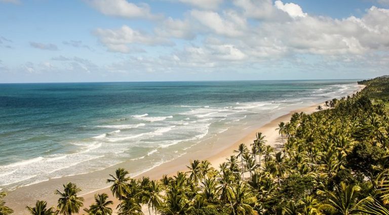 Capa-Mag_Sul-da-Bahia_1200-x-675-770x515