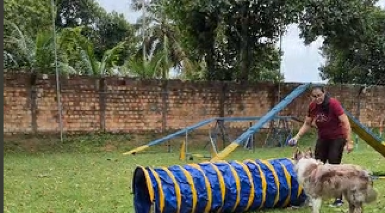Agility