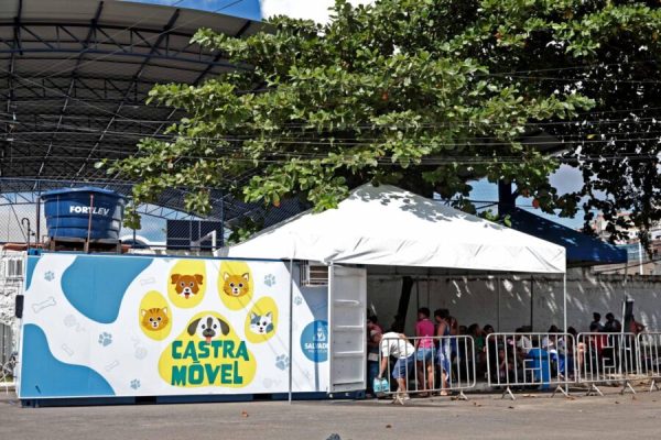 Foto: Reprodução/ Bruno Concha / Secom PMS