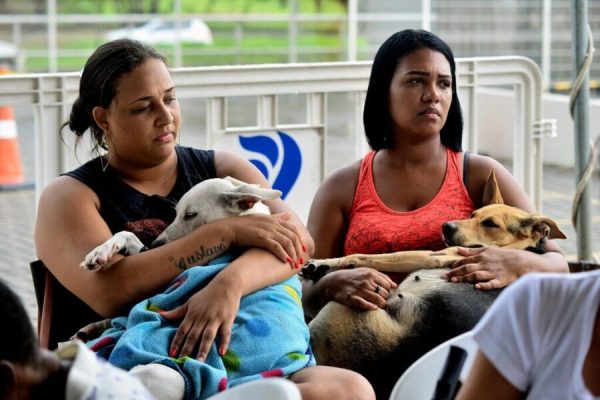 Foto: Jefferson Peixoto/ Secom PMS