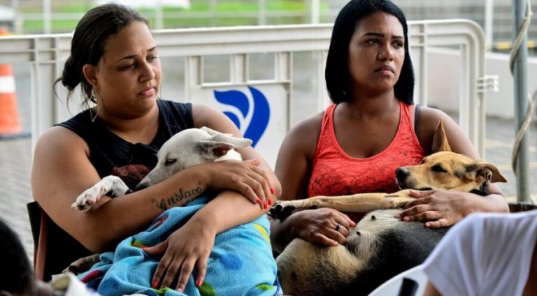 Foto: Jefferson Peixoto/ Secom PMS