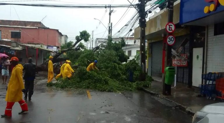 Chuva_Nordeste__1_ (1)