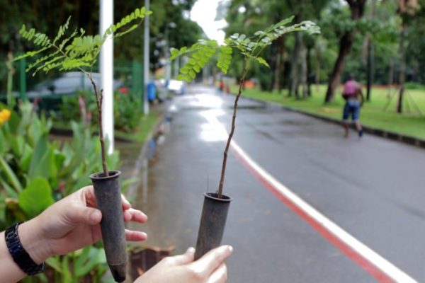 Dia-do-meio-Ambiente_SECIS_Fot-Bruno-Concha_Secom_Pms-5-scaled-780x470