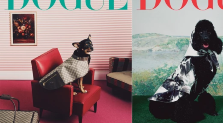 Dogue