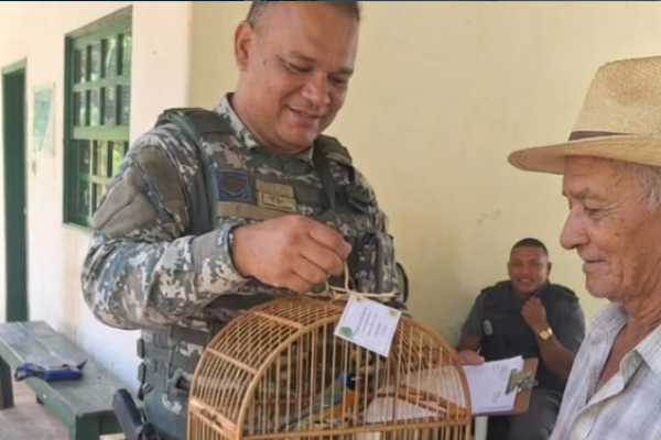 Entrega_Animais_Ascom-GCM-1