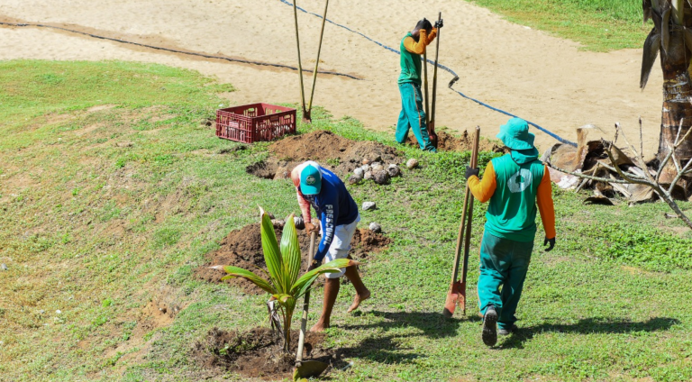 projeto praia verde