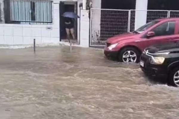 previsão