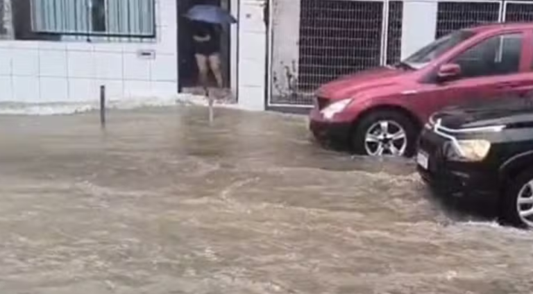 previsão