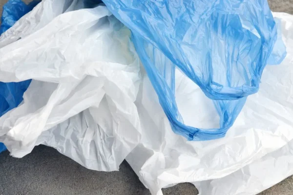 Lei-que-proibe-distribuicao-de-sacolas-plasticas-e0031883201202405121840-9 (1)
