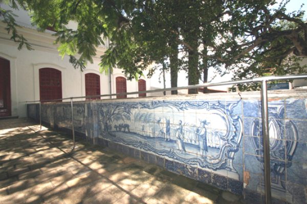 Museu de Arte Moderna - MAM - Localizado na avenida contorno em Salvador-Ba

Na Foto:

Fotos: Robson Mendes / AGECOM