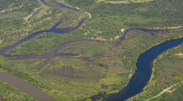 Foto: Thomas Bauer | SOS Mata Atlântica