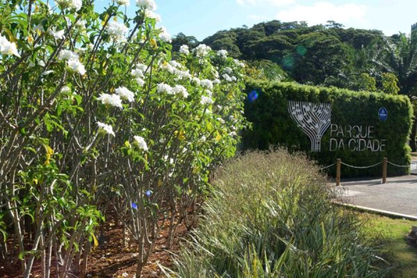Parque-da-Cidade-Primavera_Foto_Jefferson-Peixoto_Secom_Pms-1