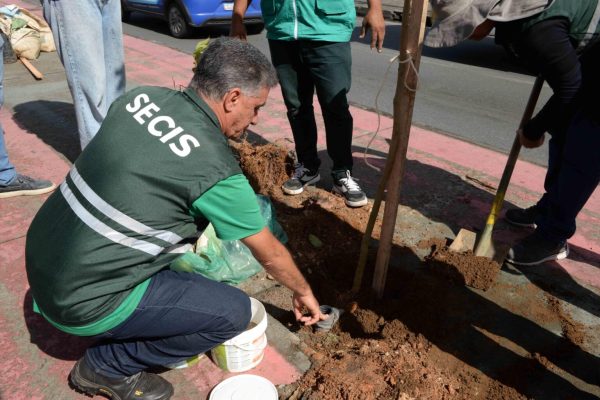 Plantio_da_SECIS_Otavio-Santos_SECOM_PMS-172-1536x1025